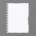 White squared ripped notebook paper sheet Royalty Free Stock Photo