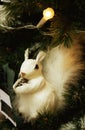 White squirrel in fur-tree branches Royalty Free Stock Photo