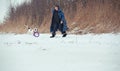 White staffordshire terrier playing with owner . winter