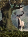 The White Stag