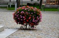 White stairs to the pedestal of the monument. floral planting annuals in baskets on spiral metal legs in the shape of a flowering Royalty Free Stock Photo