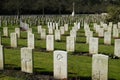White standardized tombstones in the war graves cemetery of Cologne\'s SÃ¼dfriedhof. World War II military cemetery