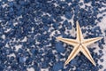 White starfish on black rocks Royalty Free Stock Photo