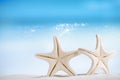 White starfish with ocean, white sand beach, sky and seascape