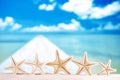 White starfish with ocean, white sand beach, sky and seascape Royalty Free Stock Photo