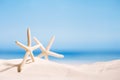 White starfish with ocean, on white sand beach, sky and seascape Royalty Free Stock Photo