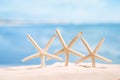 White starfish with ocean, on white sand beach, sky and seascape Royalty Free Stock Photo