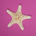 White starfish on a pink background Royalty Free Stock Photo
