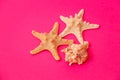 White starfish on a pink background. Royalty Free Stock Photo