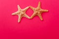 White starfish on a pink background. Royalty Free Stock Photo