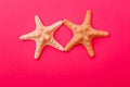 White starfish on a pink background. Royalty Free Stock Photo