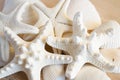 White Starfish Royalty Free Stock Photo
