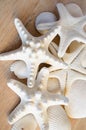 White Starfish Royalty Free Stock Photo