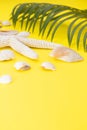 White starfish, shells with palm leaves on yellow background. Vertical. Travel, vacation, summe