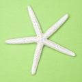 White Starfish on a Vibrant Green Background.