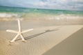 White starfish on white sand beach, with ocean sky and seascape Royalty Free Stock Photo