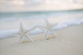 White starfish on white sand beach, with ocean sky and seascape Royalty Free Stock Photo