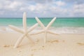 White starfish on white sand beach, with ocean sky and seascape Royalty Free Stock Photo