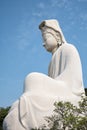 The statue of Ryozen Kannon. Kyoto. Japan