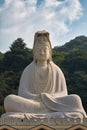 The statue of Ryozen Kannon. Kyoto. Japan