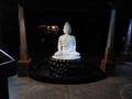 white statue of Gautam Buddha calmly meditating on a black platform, sculpture at night. murti of buddha, vipassana