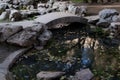 White stone bridge over small pond among stones and rocks. The water reflects blue sky, trees trunks and autumn fallen leaves floa Royalty Free Stock Photo