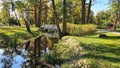 White stone footbridge across small stream in city park in autumn Royalty Free Stock Photo