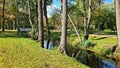 White stone footbridge across small stream in city park in autumn Royalty Free Stock Photo