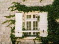 White stone house wall with white window with green ivy Royalty Free Stock Photo