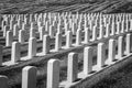 White Stone Military Headstones for Fallen Servicemen and Women for United States Military Royalty Free Stock Photo