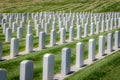 White Stone Military Headstones for Fallen Servicemen and Women for United States Military Royalty Free Stock Photo