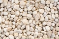 White stone, rocky, stony texture background Royalty Free Stock Photo