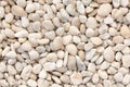 White stone, rocky, stony texture background Royalty Free Stock Photo