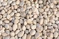 White stone, rocky, stony texture background Royalty Free Stock Photo