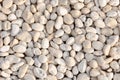 White stone, rocky, stony texture background Royalty Free Stock Photo