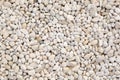White stone, rocky, stony texture background Royalty Free Stock Photo