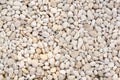 White stone, rocky, stony texture background Royalty Free Stock Photo