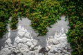 White stone wall and green plant with small leaves and pink Bougainvillea Flowers. Royalty Free Stock Photo