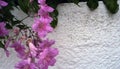 White stone wall with lilac flowers