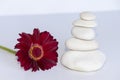 White stones in balance on white background with a red gerbera daisy, flower, . equilibrium and meditation. Peaceful and relaxing Royalty Free Stock Photo