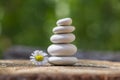 White stones cairn, poise light pebbles on wooden stump in front of green natural background, zen like, harmony and balance Royalty Free Stock Photo