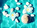 White stones and flowers under water Royalty Free Stock Photo