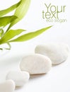 White stones & green leaves Royalty Free Stock Photo