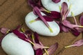 White Stones with Petals of Purple Gerber