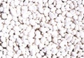 White stones texture. best background for design Royalty Free Stock Photo
