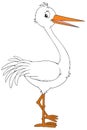 White stork Royalty Free Stock Photo