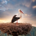 white stork bird animal, AI generated Royalty Free Stock Photo