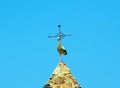 stork under a sunny blue sky. Royalty Free Stock Photo