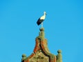 stork under a sunny blue sky. Royalty Free Stock Photo