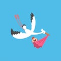 White stork delivering a newborn baby, flying bird carrying a bundle with baby girl, template for baby shower banner Royalty Free Stock Photo